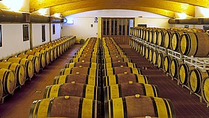 „Castello di Ama“ produziert Olivenöl, Brandy und Wein © PR