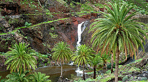 Palmen, Wasserfälle, Urwald: Garajonay-Nationalpark in der Nähe von La Laja © La Gomera Tourist Board