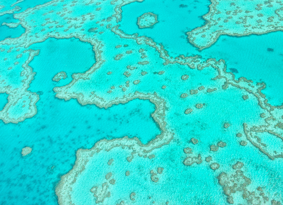 Das Great Barrier Reef von oben nahe der Whitsunday Islands  © atiger / Shutterstock