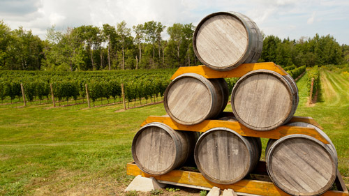 Annapolis Valley ist die Weingegend von Nova Scotia - (Foto: ©Tashka/istock.com) 