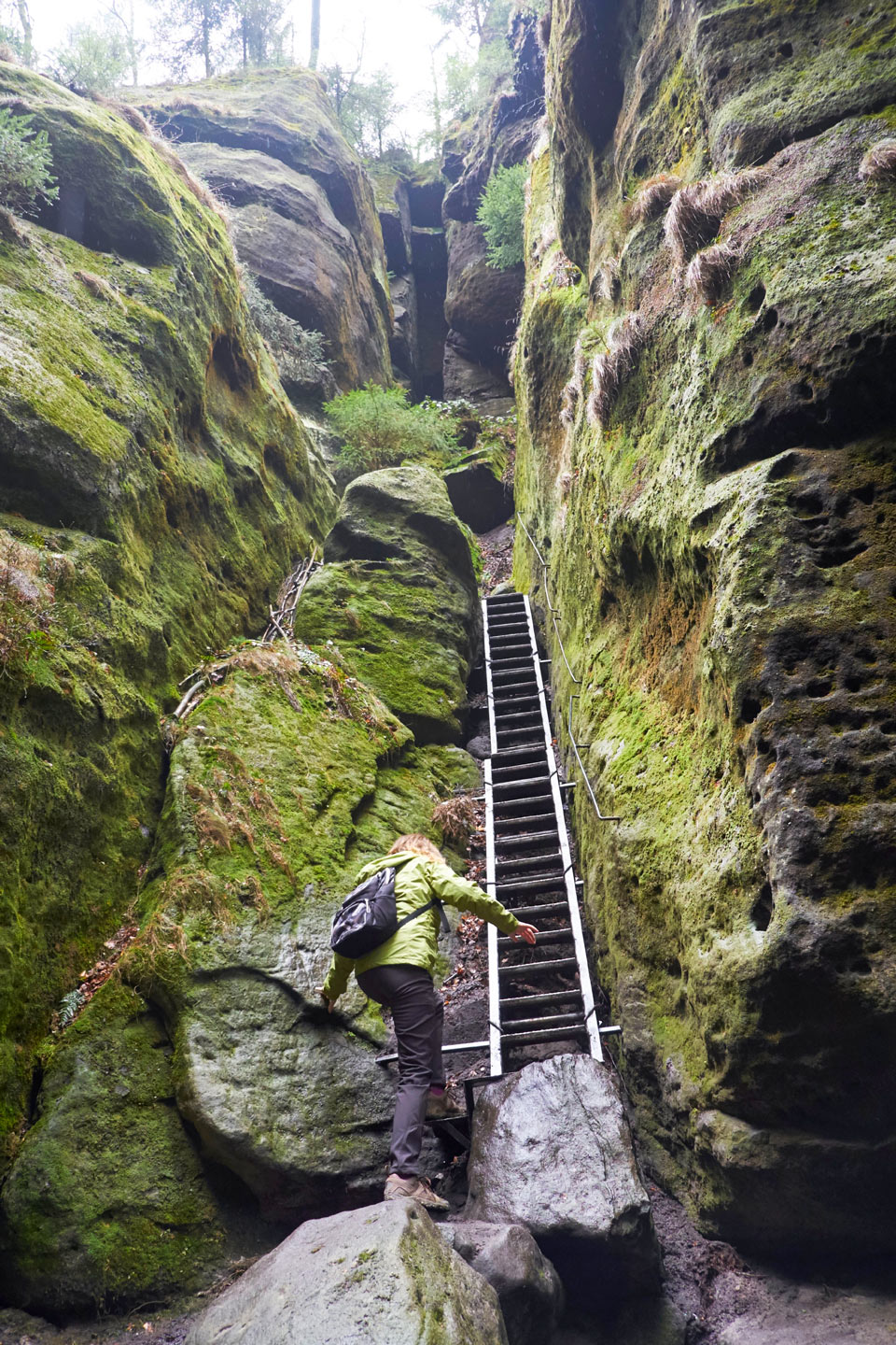 Beim Wandern im Nationalpark Sächsische Schweiz locken viele spannende Passagen - (Foto: © Westend61 / Getty Images)