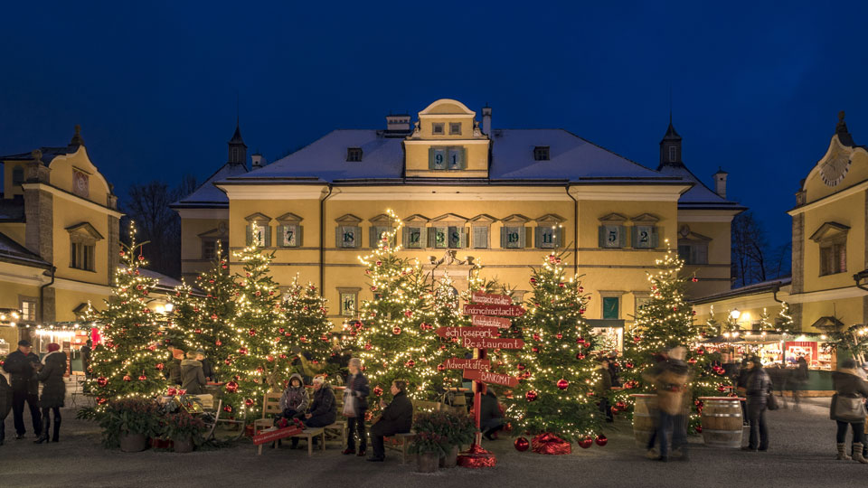 Ganze 400 Weihnachtsbäume sind beim Hellbrunner Adventszauber aufgebaut - (Foto: © footageclips / Shutterstock)