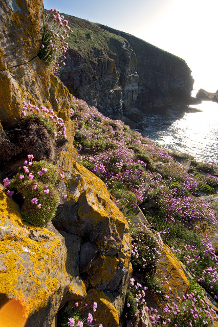 Klippen in Ardmore, Irland