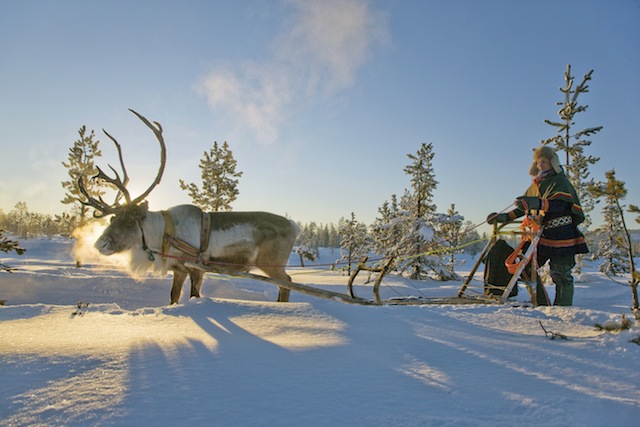Die Sámi sind Skandinaviens Ureinwohner © PR