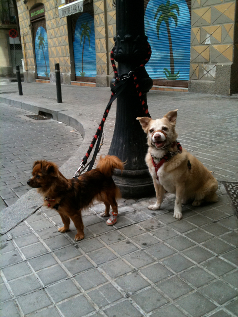 Barcelona © Marie-Luca Dietrich