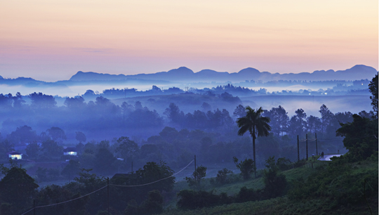 Nebel hängt im Valle de Viñales © Mark Read