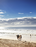 Noosa Heads