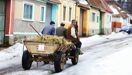 Nach der Arbeit fahren die Bauern nach Hause © Matt Munro