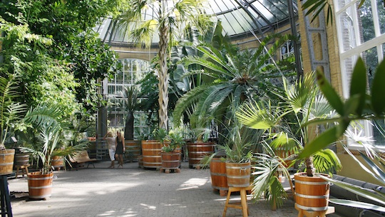 Hortus Botanicus Amsterdam bietet tropische Atmosphäre mitten im westlichen Europa © PR