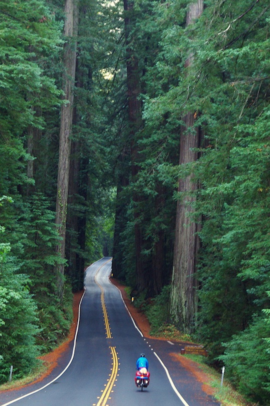 Abenteuerliche Fahrt durch den Redwood-Nationalpark in Kalifornien © Ria Kreuzahler/Oliver Kreuzahler