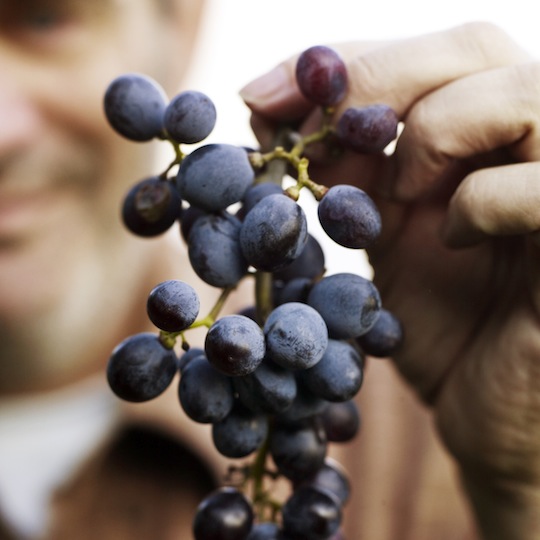 Köstlichen (Rot-)Wein gibt es bei Daniele Travi im Örtchen Domaso © Andrew Montgomery