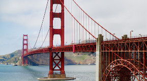 © Andrew Montgomery