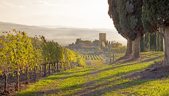 Weingut "Argiano" in Brunello die Montalcino bei Siena © Massimo Ripani/SIME