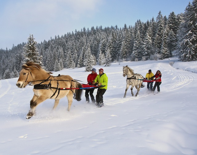Skijöring in Frankreich © PR