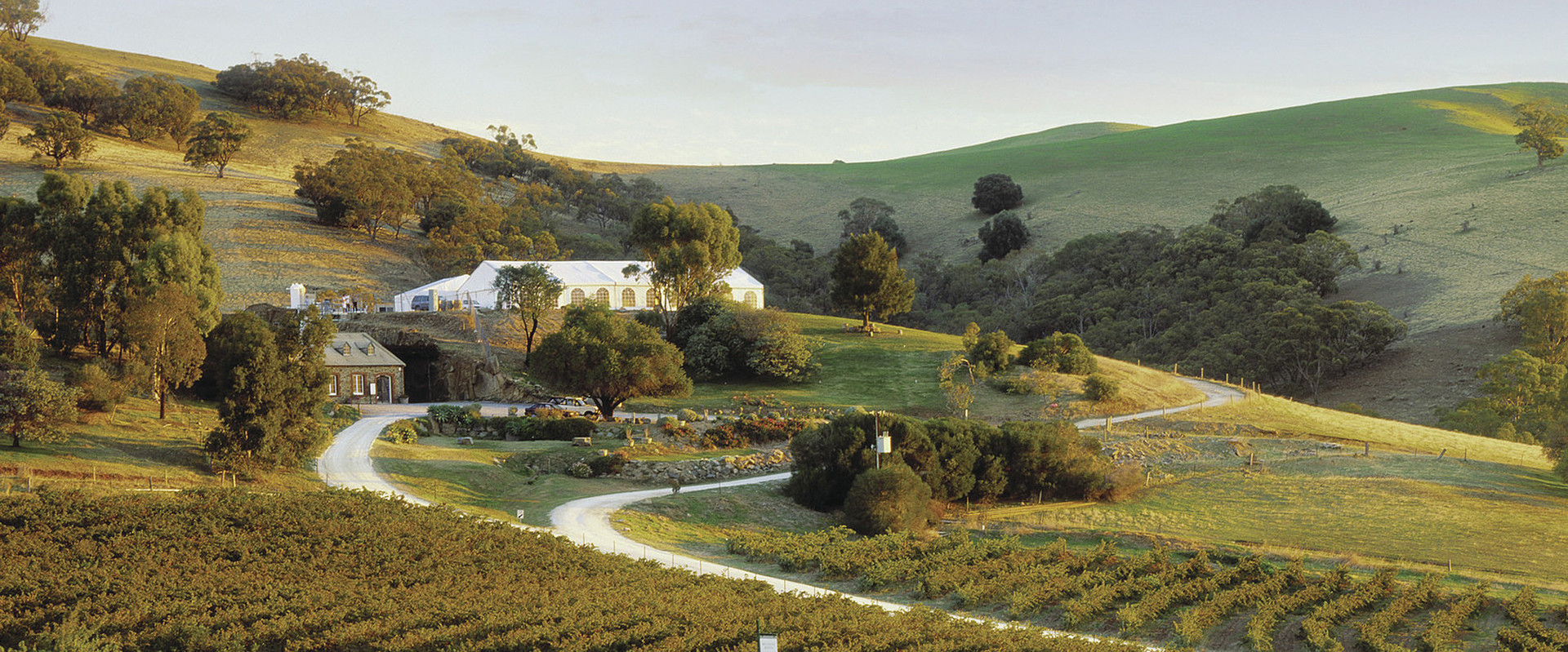 Bethany Wines, Barossa © Nick Rains