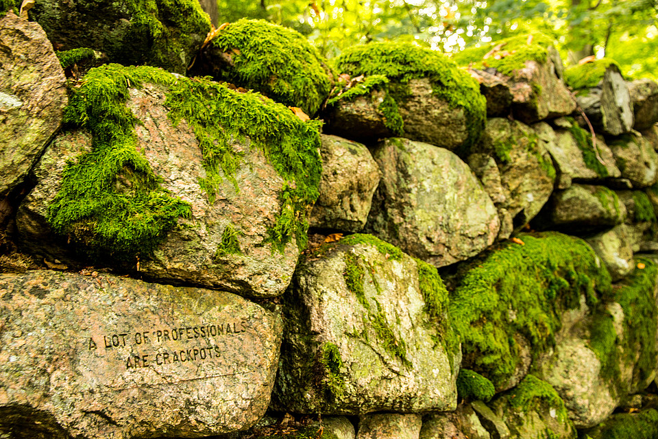 Wanås Wall von Jenny Holzer. Foto: Jurrien Veenstra