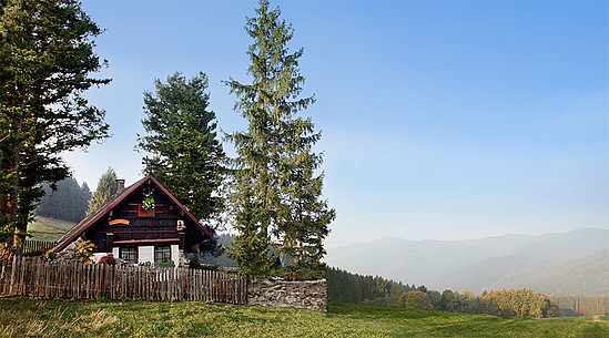 Kleine gemütliche Unterkünfte findest du auch im Schwarzwald © HerrAlbert, iStock.com