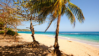 Der Wood Ford Hill Strand auf Dominica  - (Foto: ©Discover Dominica Authority)