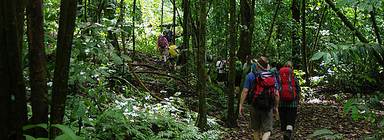 Wanderer in den Wäldern von Costa Rica © Fritz Fucik