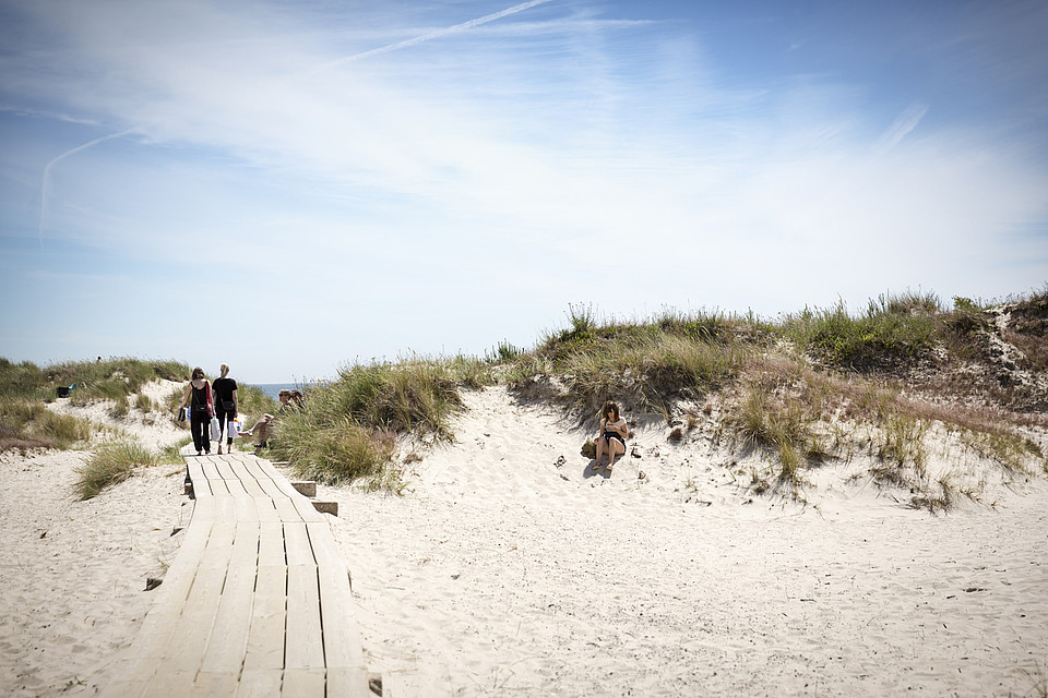 Sandhammaren ist einer der schönsten Strände Schwedens. Foto: Carolina Romare