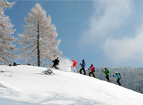 Schneeschuhwanderung mit Nationalpark-Ranger | © HT-NPR, K. Dapra