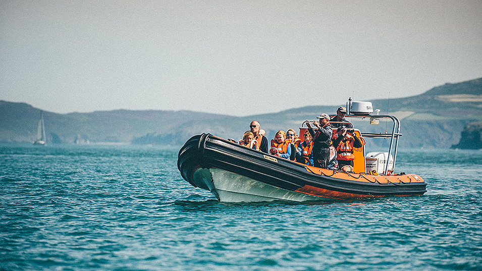 Ein Bootsausflug vor Ramsey Island, Pembrokeshire