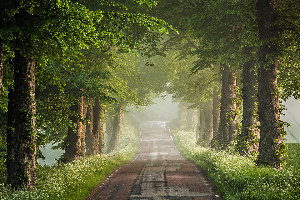 Eine Landstraße durch Skåne. Foto: Anders Tukler.