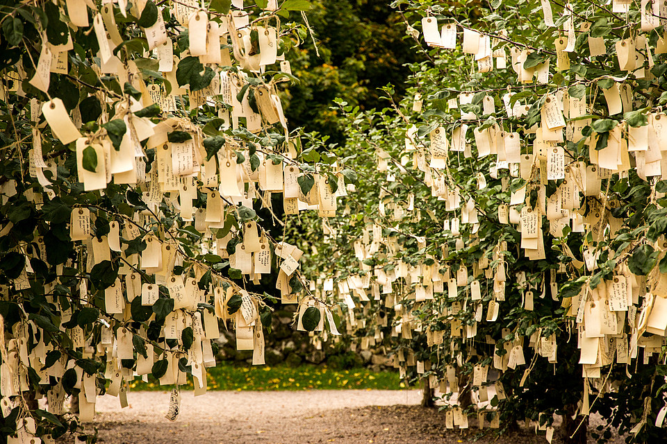 Wish Trees von Yoko Ono. Foto: Jurrien Veenstra