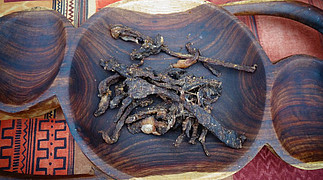 Namibia Fotosafari © Christine Dohler