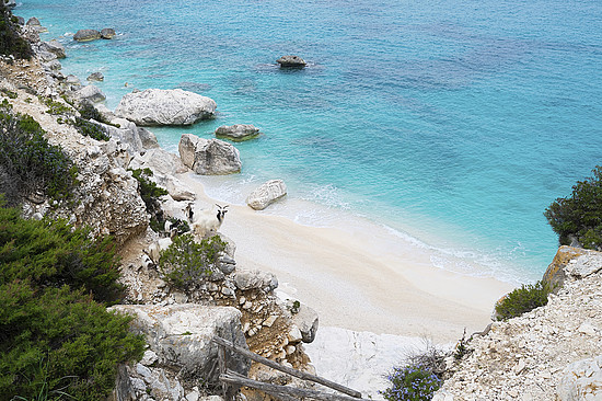 Der Aufwand, Cala Goloritzé zu erreichen, ist bereits der halbe Spaß. © elisalocci / iStock / Getty Images