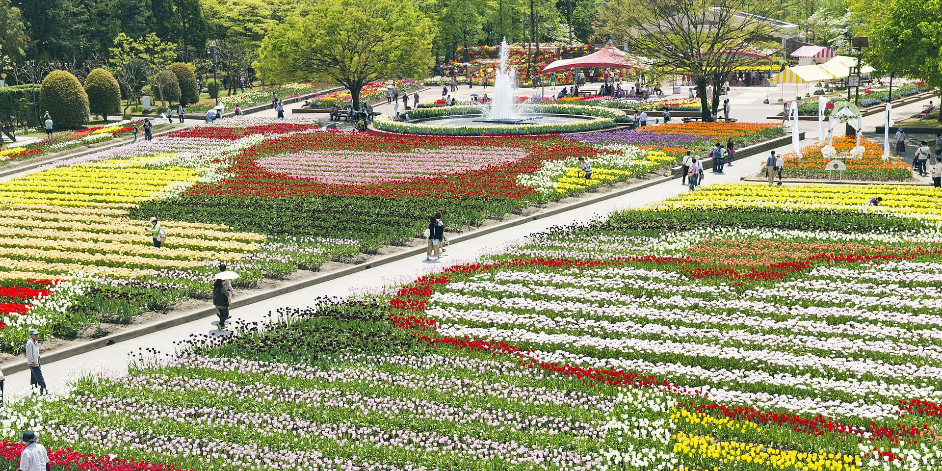 Tulpenmesse in Tonami ©JNTO