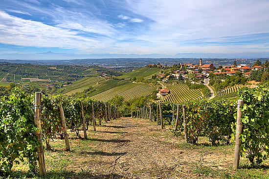 Die hügelige Landschaft des Piemont ist übersät mit Weingärten und Hügelstädten. © Rostislav Glinsky / Shutterstock