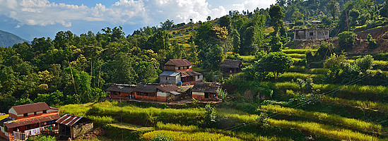 Felder in Astam Kot in Nepal © Wikinger Reisen