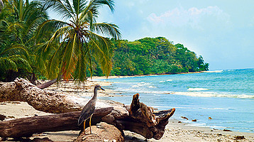 Strand im Cahuita-Nationalpark © Wikinger Reisen