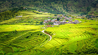 Ein großer Teil aus den Einnahmen des Tourismus fließt in die nachhaltige Entwicklung Bhutans - Foto: (©Apisak Kanjanapusit/Getty Images)