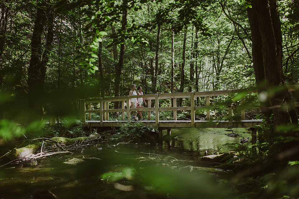 Eine Brücke am Skåneleden. Foto: Mickael Tannus