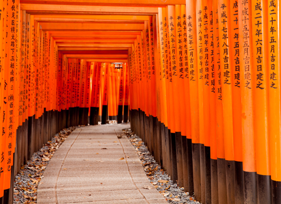 Fushimi Inari Taisha Schrein in Kyoto, Japan © Pigprox / Shutterstock