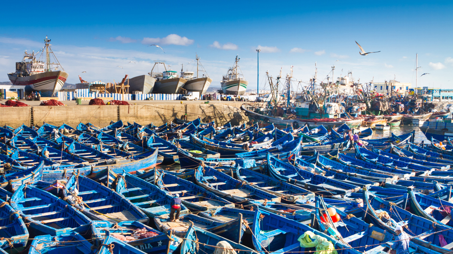 Blaue Fischerboote in Essaouira © Matej Kastelic / 500px