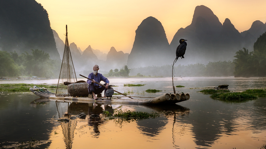 Die uralte Praxis der Kormoranfischerei, bei der die Vögel Fische fangen, die für sie zu groß zum Schlucken sind, kann man in einigen Teilen Chinas immer noch erleben © Pacmanfrog Photo / Moment RF / Getty Images