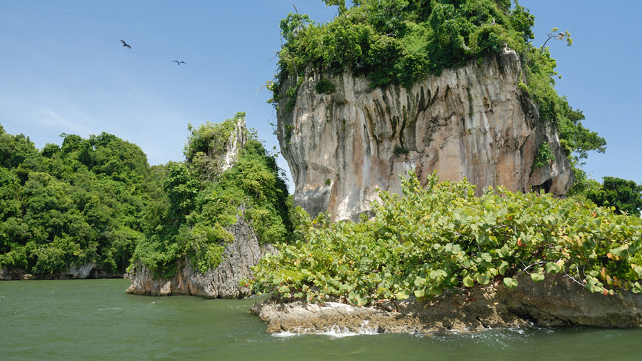 Ein grünes Juwel im Norden der Dominikanischen Republik – seit 1976 ist Los Haitises ein Nationalpark © Gueholl / E+ / Getty Images