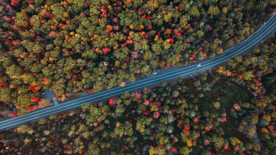 Die Straße durchschneidet den Minnewaska State Park © ricardocostaphotography / Getty Images