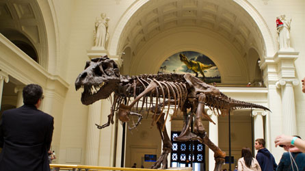 Das Field Museum, eines der meistbesuchten Museen der USA © Brand USA