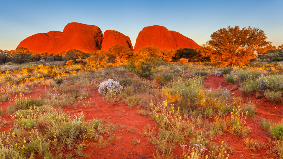 Sonnenaufgang über "The Olgas" im Uluru-Kata Tjuta National Park ©Maurizio De Mattei/Shutterstock