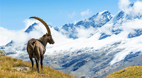 Italiens 5 Spektakularste Naturwunder