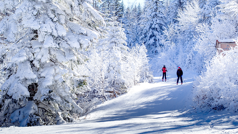 © Bosnian / Shutterstock 