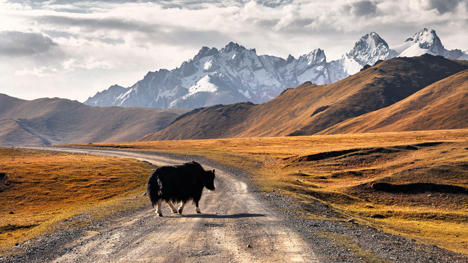 Mehr als 90 Prozent Kirgisistans sind gebirgig, was das Land zu einem Trekking- Paradies macht - (Foto: © Marisha Pissarova Alamy Stock Photo)