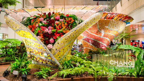 Blumen im Changi International Airport - (Foto: ©maislam/iStock.com)