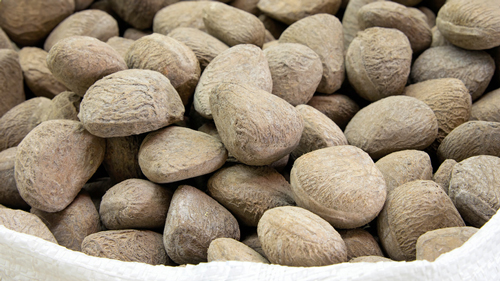 Ein Sack Keluak-Samen - (Foto: ©JPLDesigns/istock.com)