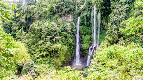 Sekumpul Wasserfälle - (Foto: ©paulwongkwan/istock.com)