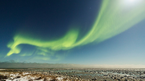 Nordlichter über der Hudson Bay, Manitoba - (Foto: ©Robert Postma/500px Royalty Free/istock.com)